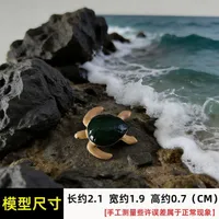海洋摆件-1